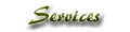 Our Services